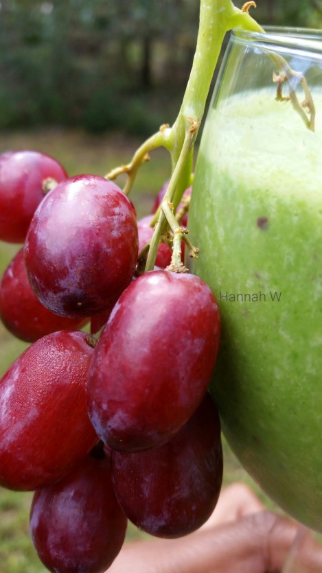 2016-11-05 16.39.39.jpg